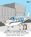 I Fly America:.Cartoon Archive